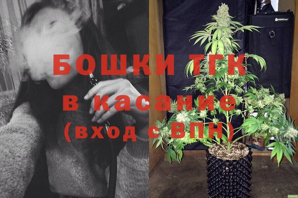 прущие грибы Алексин