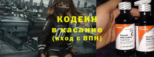 сатива Абинск