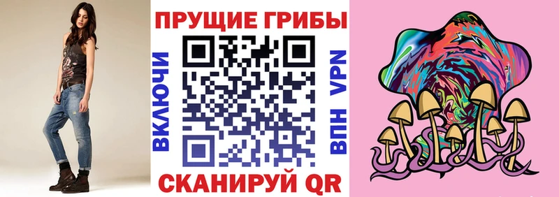 Псилоцибиновые грибы MAGIC MUSHROOMS кракен Железногорск-Илимский купить цена